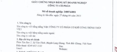 dang-ky-cong-ty-co-phan-cong-ty-co-phan-co-khi-cong-trinh-thep-viet